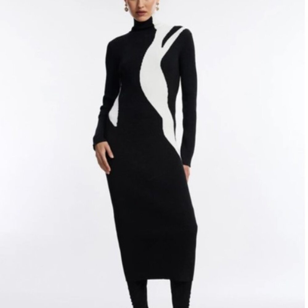 Alani Graphic Dress In Black Beauty